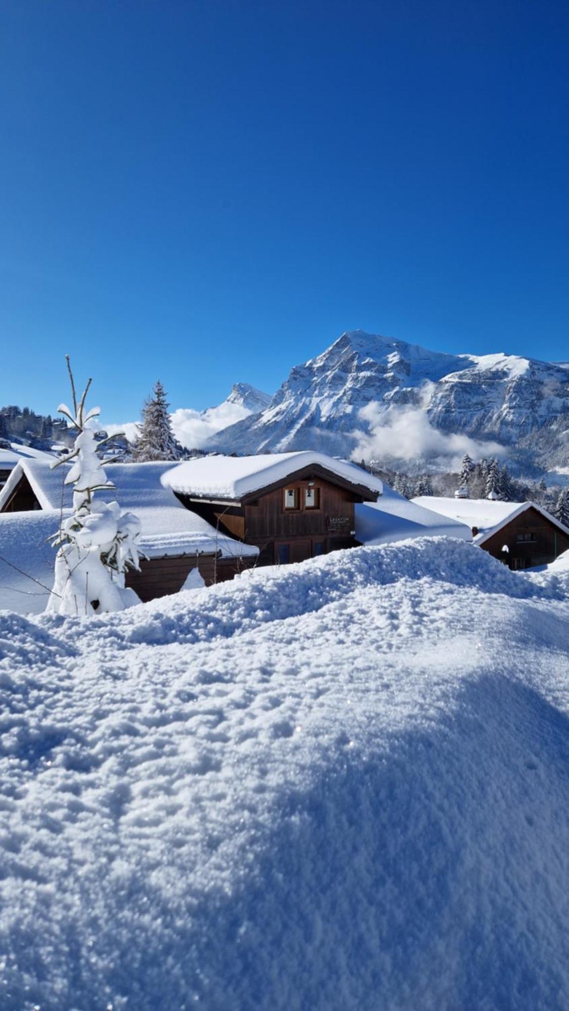Demi-Chalet Le Bief --Prox Pistes Ле-Карроз-д'Араш Экстерьер фото